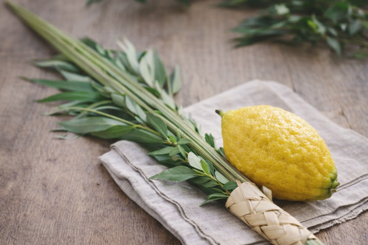 Lulav and etrog for Sukkot holiday observance